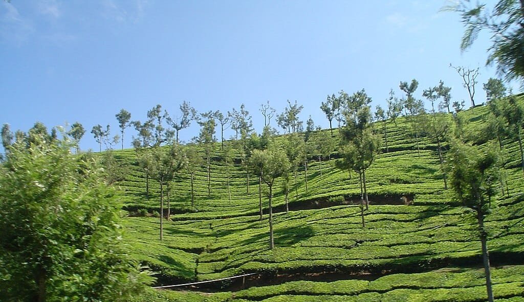 ooty height from sea level, ooty height, ooty height in feet