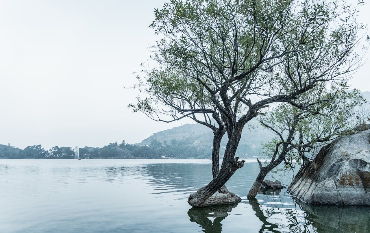 Mount Abu Height From Sea Level