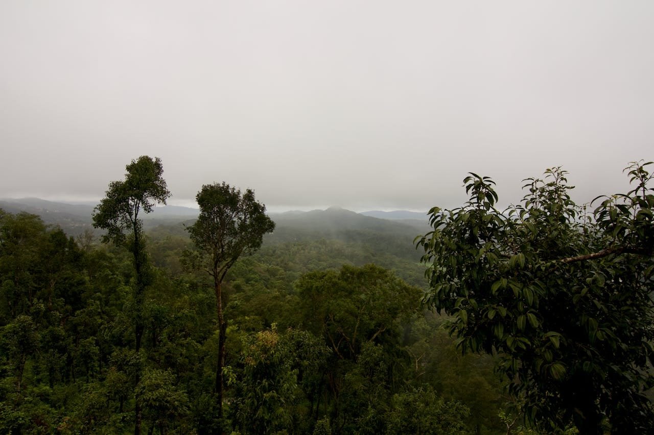 Coorg Height From Sea Level