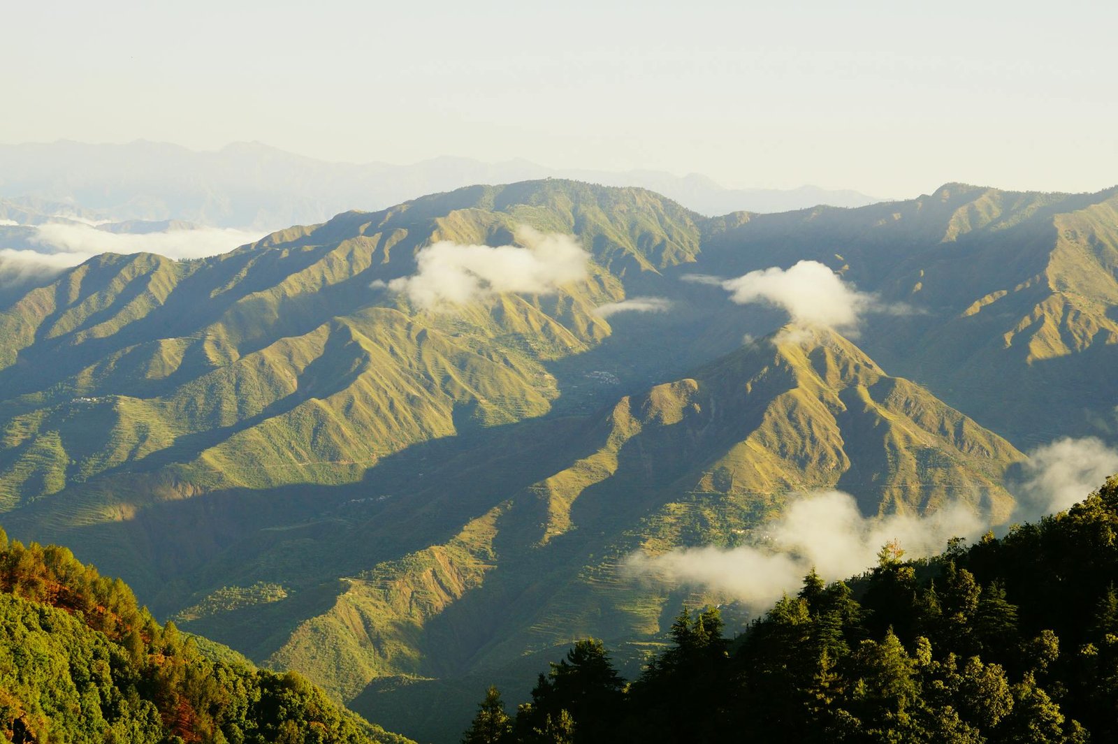 Dehradun Height From Sea Level