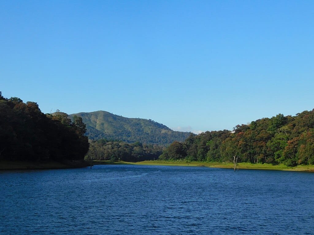 thekkady height from sea level, thekkady altitude, thekkady elevation, thekkady height in meters, thekkady height in feet, thekkady above sea level, thekkady location height, thekkady kerala height, thekkady climate by altitude, thekkady weather, best time to visit thekkady, places to visit in thekkady, things to do in thekkady, how to reach thekkady, thekkady accommodation, thekkady hotels, thekkady resorts, periyar wildlife sanctuary height, western ghats altitude, thekkady travel guide, thekkady tourism