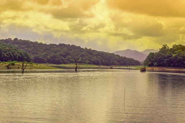 thekkady height from sea level