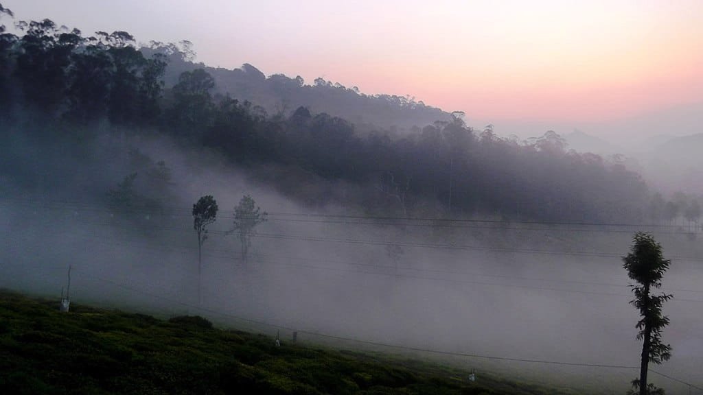 kotagiri height from sea level, kotagiri elevation, kotagiri height in feet, kotagiri height in meters, kotagiri altitude, kotagiri hill station height, kotagiri weather by altitude, kotagiri climate, kotagiri best time to visit, kotagiri location, kotagiri travel guide, kotagiri places to visit, kotagiri tea estates, kotagiri tourism, kotagiri nilgiris height, kotagiri hill station tamil nadu, kotagiri temperature, kotagiri altitude from sea level