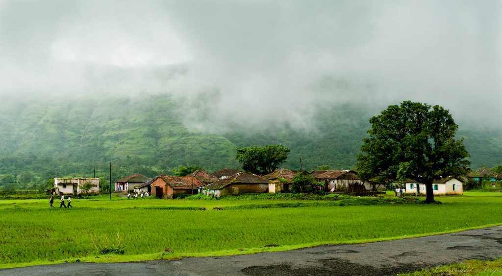 Amboli