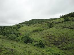 Ananthagiri Hills
