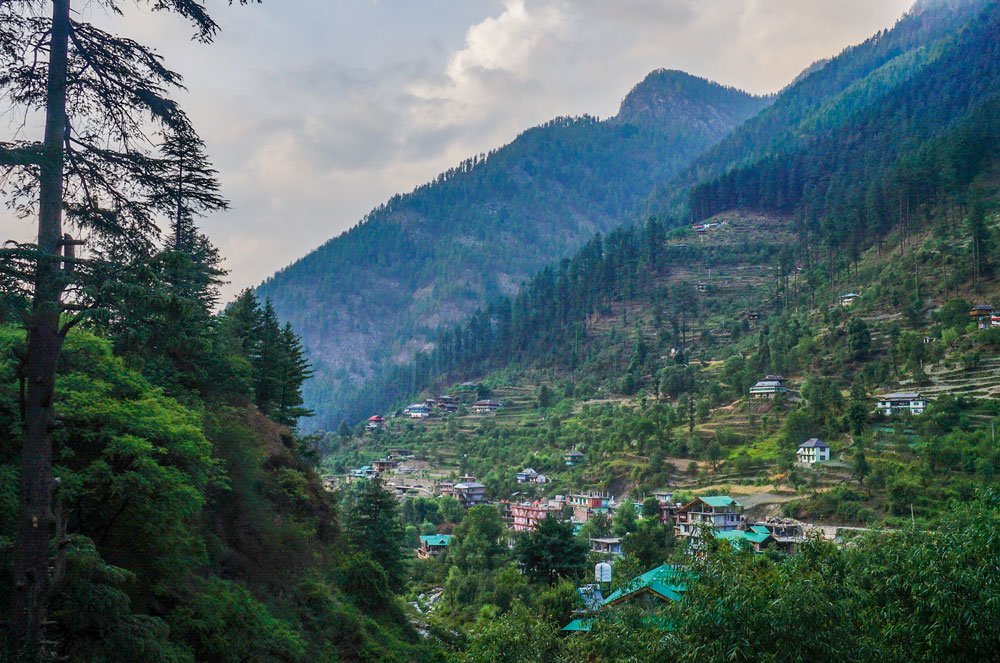 Jibhi