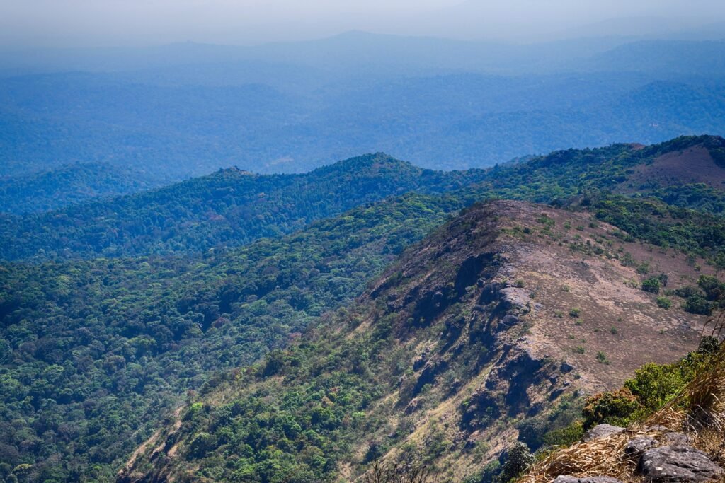Kotebetta Peak – A Hidden Gem for Nature Lovers
