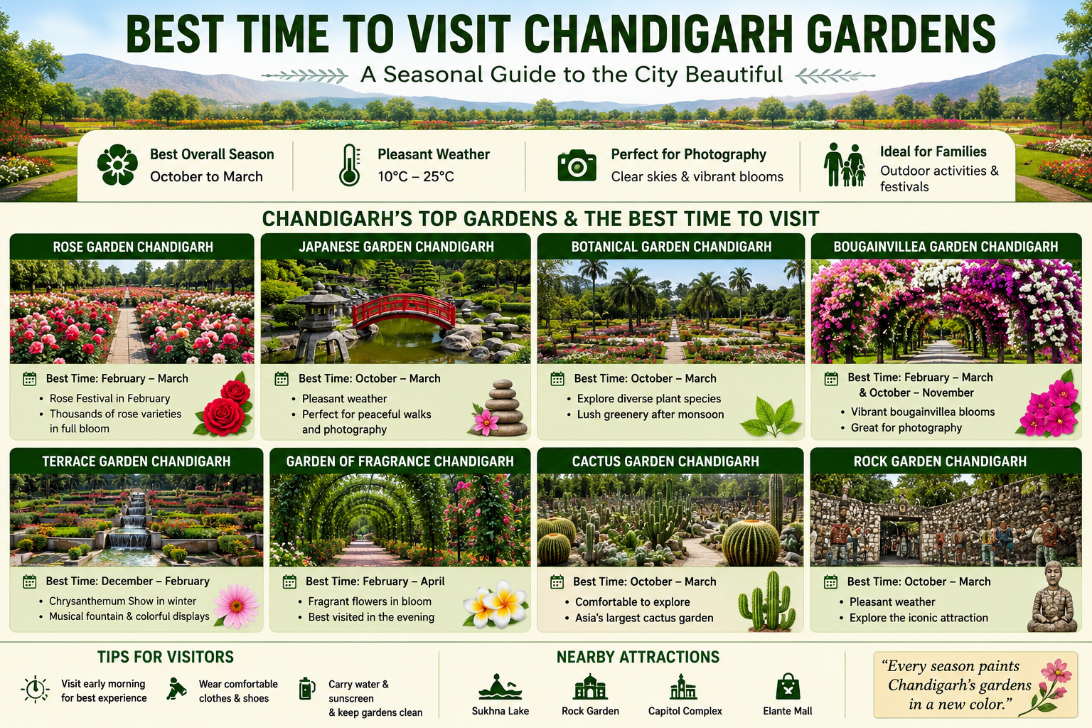 Best Time to Visit Chandigarh Gardens: A Seasonal Guide to the City’s Green Gems