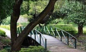 Leisure Valley Guide: Exploring Chandigarh’s Green Heart