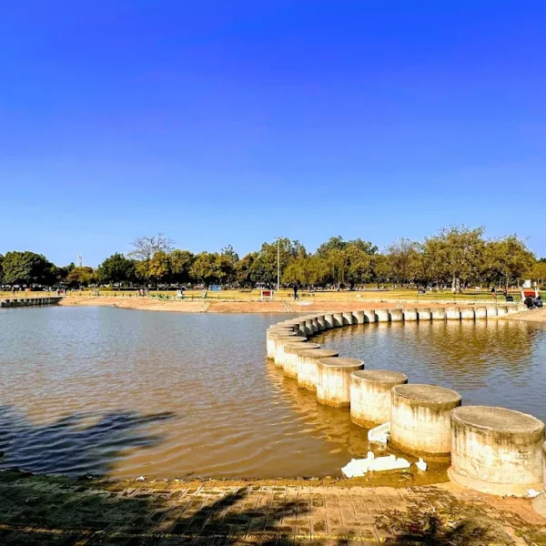 Shivalik Foothills Parks Chandigarh: A Complete Nature Guide