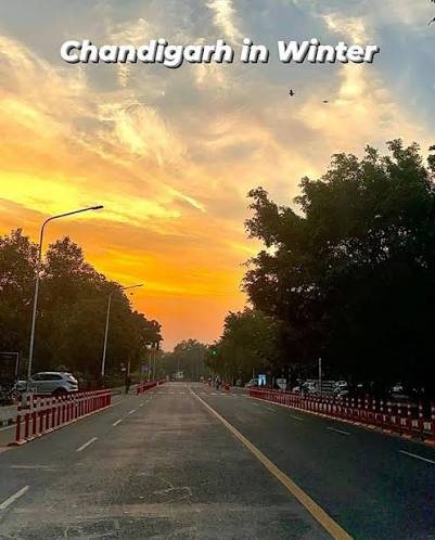 Winter in Chandigarh: Weather, Temperature, Things to Do & Travel Guide