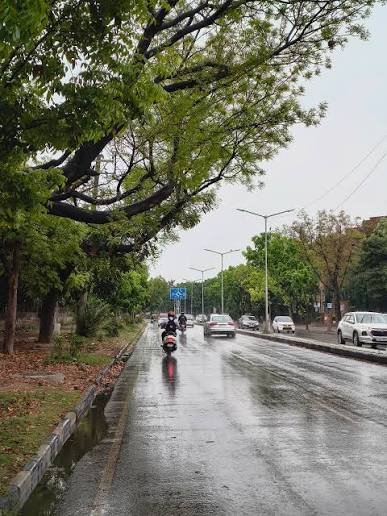 Chandigarh Weather Guide: Seasons, Temperature, Rainfall & Best Time to Visit