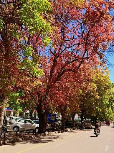 Summer Survival Guide: How to Beat the Chandigarh Heat