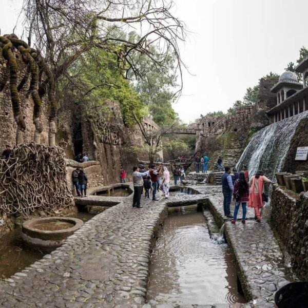 Tourist Attractions Near Chandigarh: Best Places to Visit